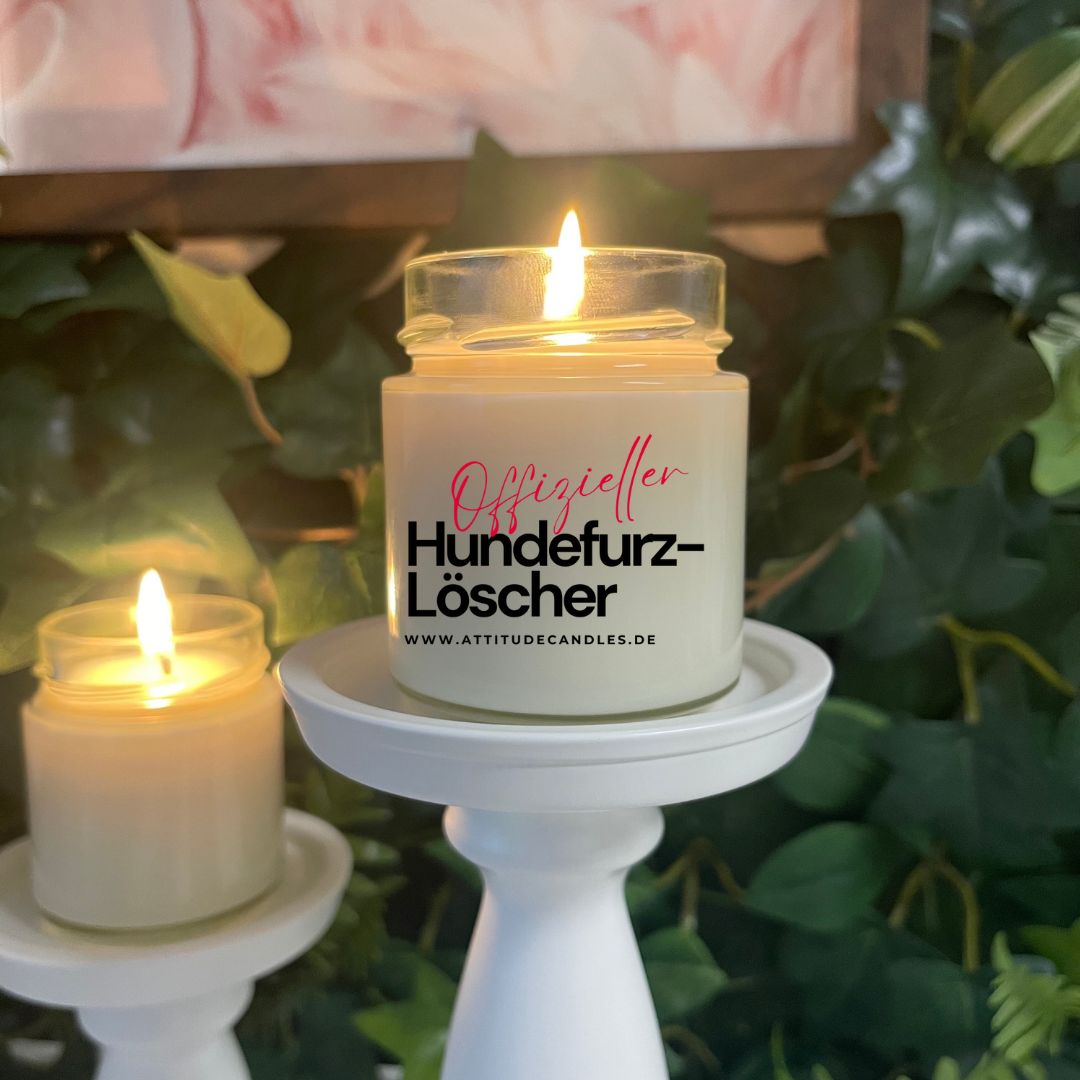 Offizieller Hundefurzlöscher | Attitude Candles