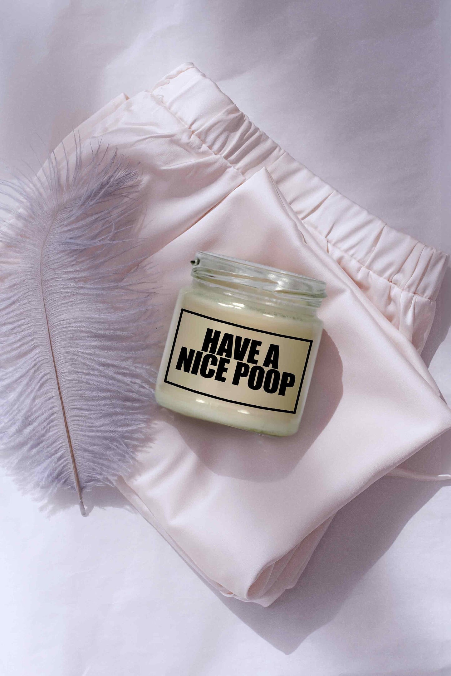 Have a nice poop | Attitude Candles Attitude Candles